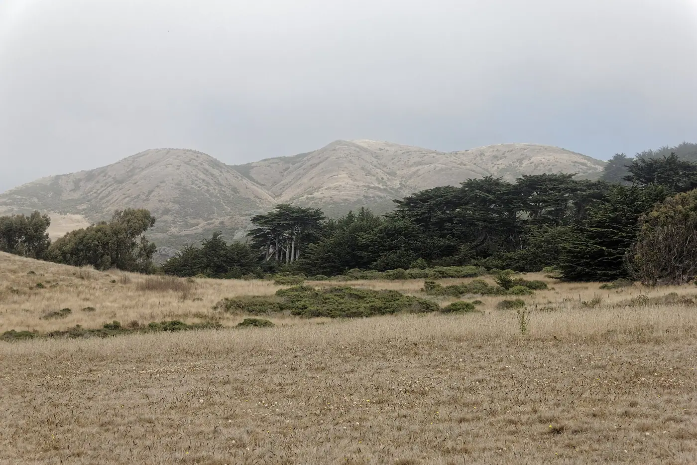 Illustrative photo of the Sonoma Coast, not of Cornerstone Sonoma
