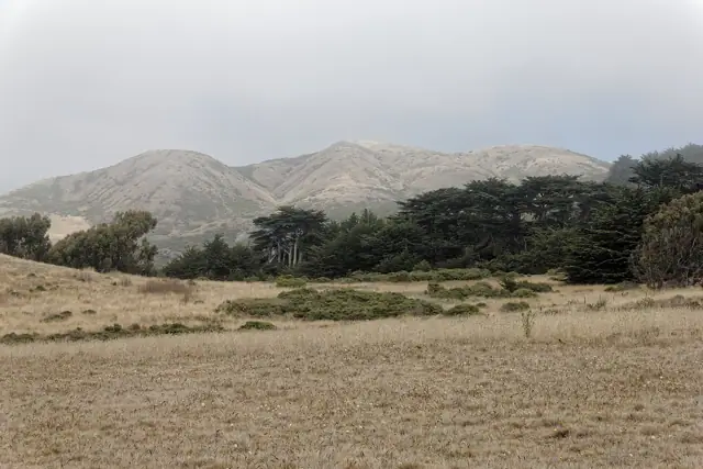 Illustrative photo of the Sonoma Coast, not of Cornerstone Sonoma