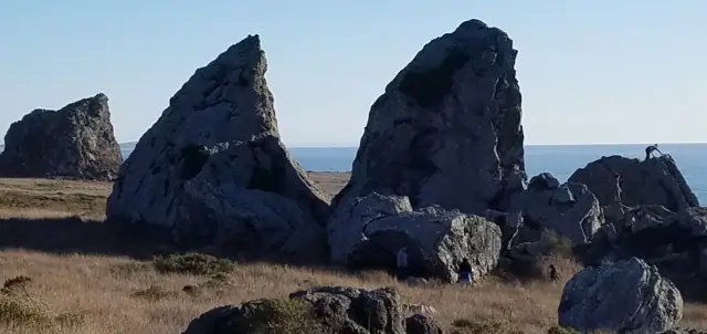 Illustrative photo of the Sonoma Coast, not of Cornerstone Sonoma