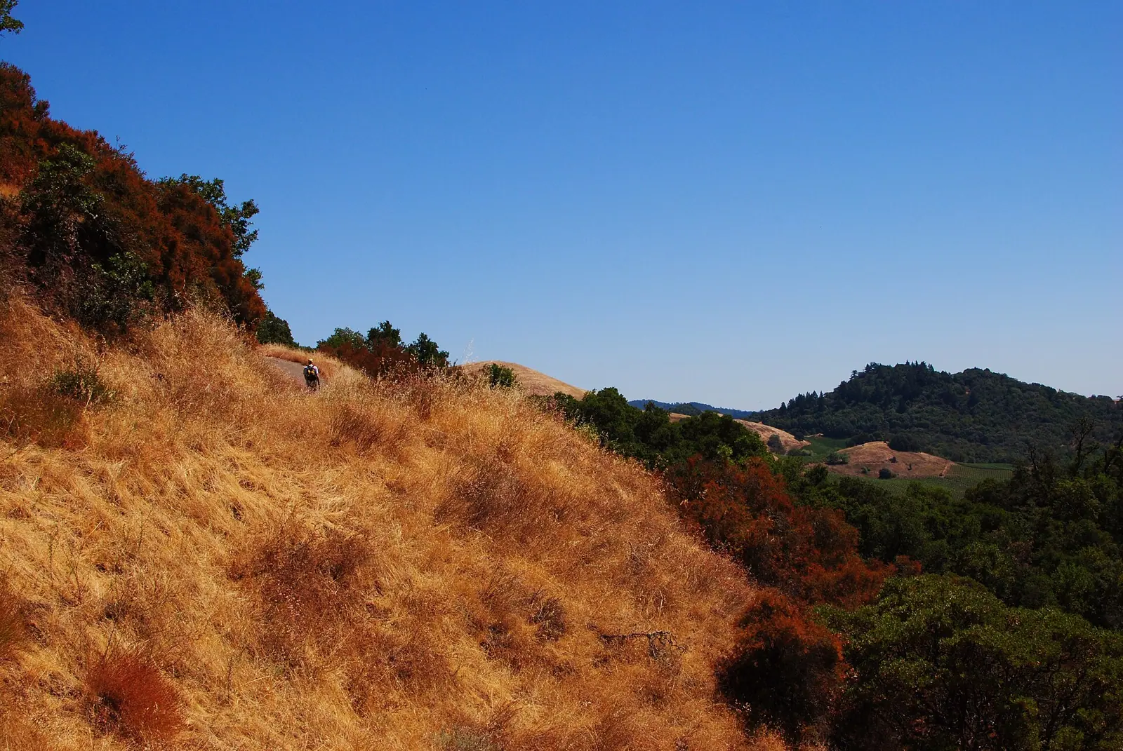 Illustrative photo of a hiking trail, not of Hood Mountain Regional Park and Preserve
