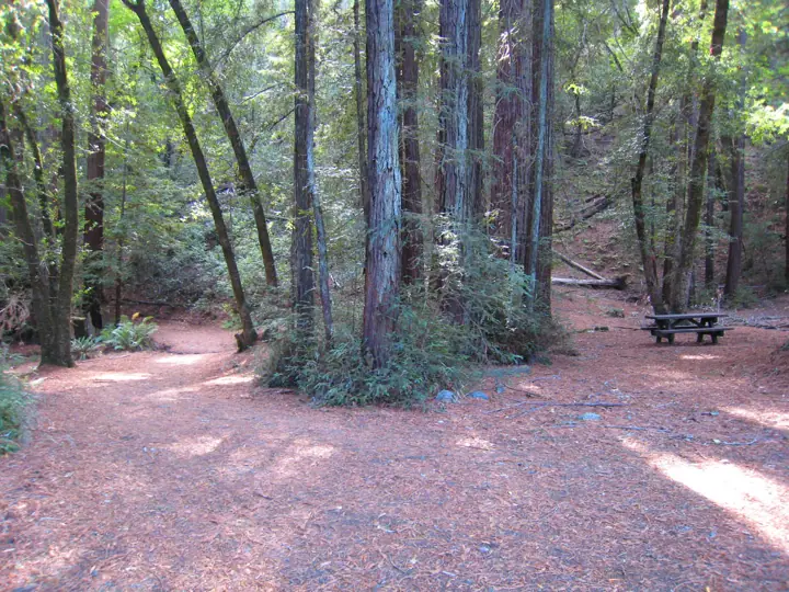 Illustrative photo of a hiking trail, not of Sonoma Overlook Trail