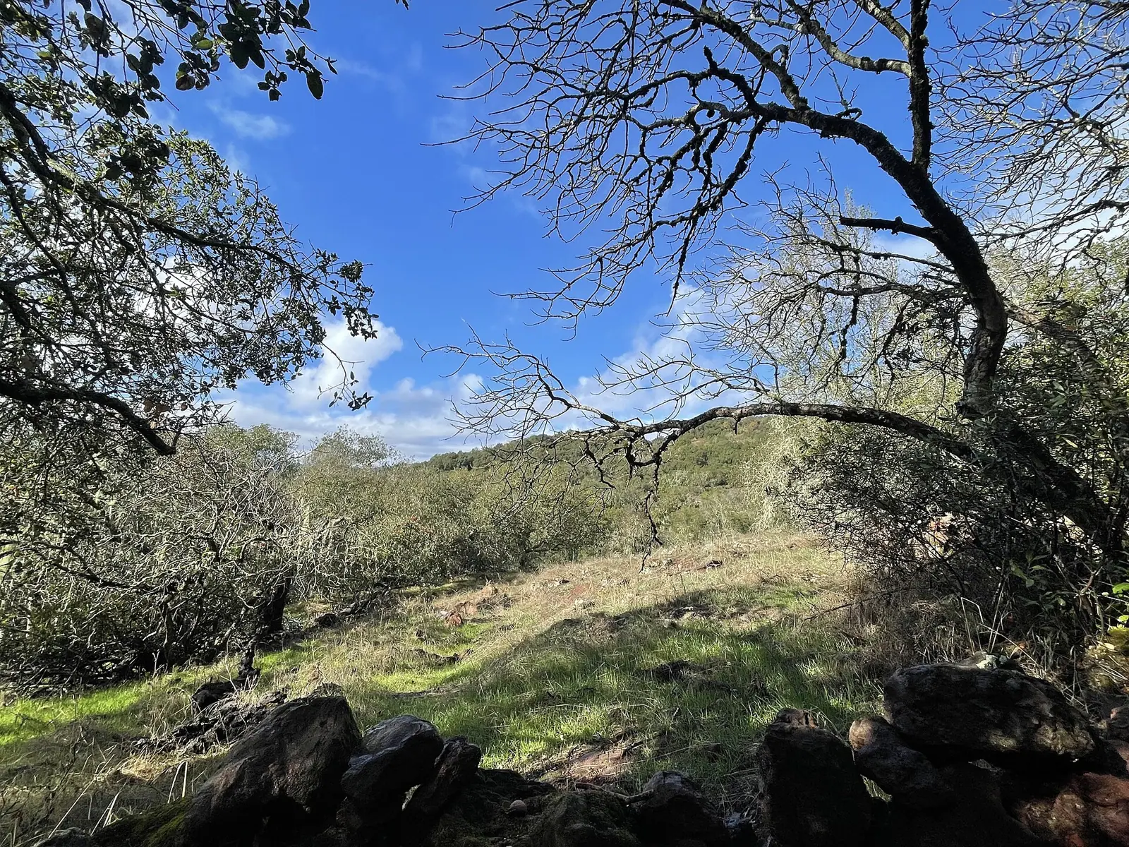 Sonoma Overlook Trail, Sonoma
