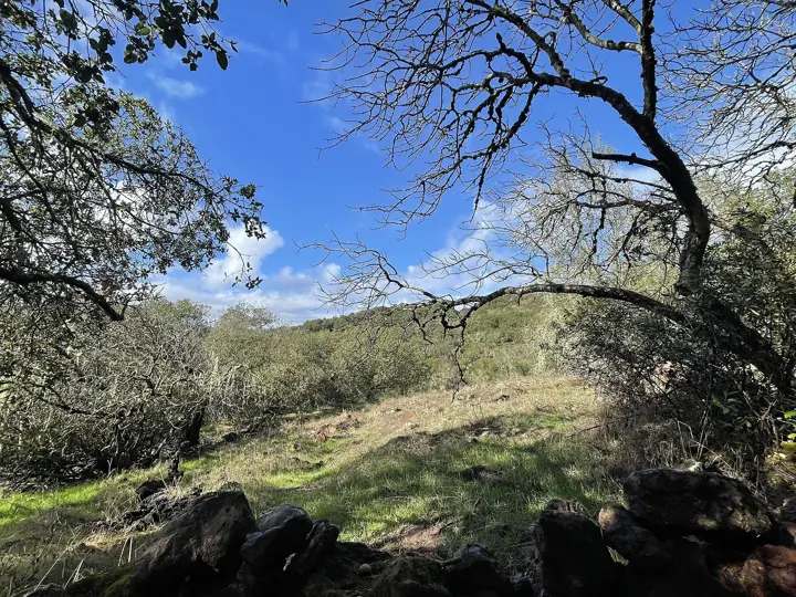 Sonoma Overlook Trail, Sonoma