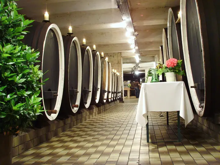 Illustrative photo of a Sonoma County vineyard, not of Sosie Wines