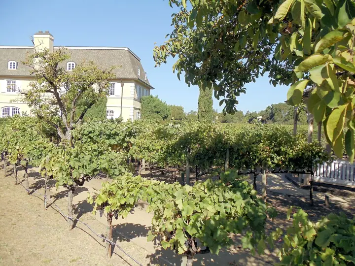 Illustrative photo of wine being tasted, not of Landmark Vineyards