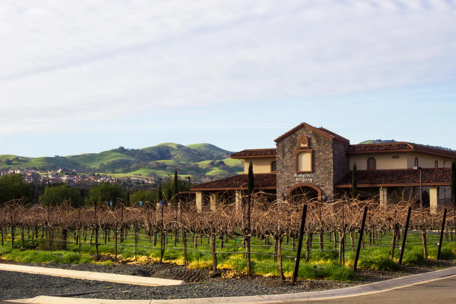 Illustrative photo of a Sonoma County vineyard, not of Anaba Winery