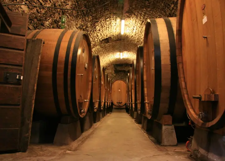 Illustrative photo of wine being tasted, not of Muscardini Cellars