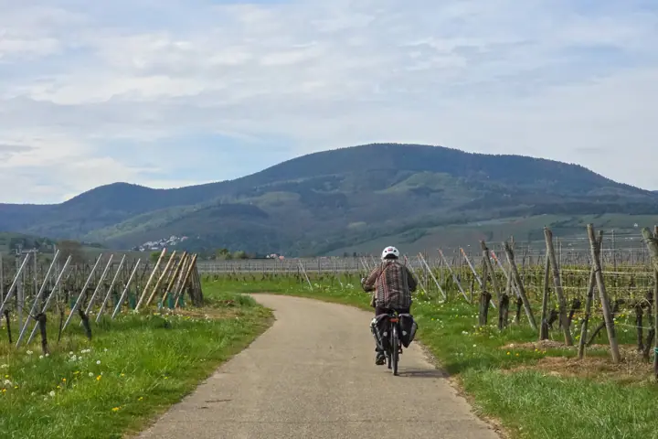 Biking Sonoma Valley: bike tours, rentals and easy rides