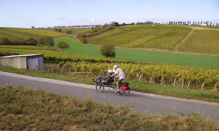Illustrative photo of a bicycle, not of Sonoma Adventures