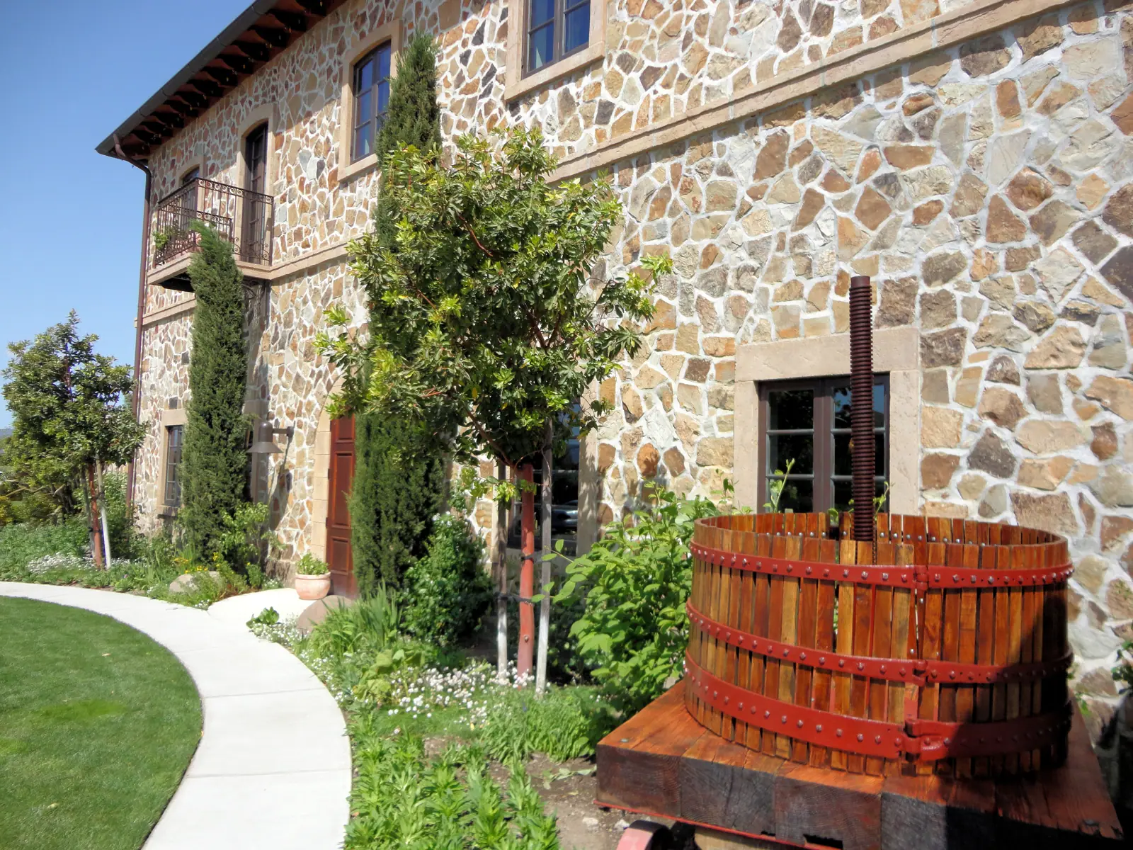 Illustrative photo of a Sonoma County vineyard, not of B Wise Vineyards