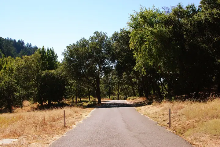 Illustrative photo of a hiking trail, not of Montini Open Space Preserve