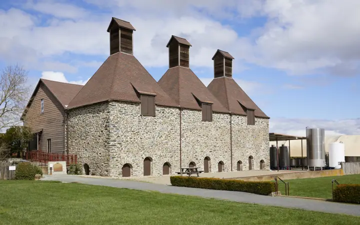Illustrative photo of a Sonoma County vineyard, not of Kivelstadt Cellars