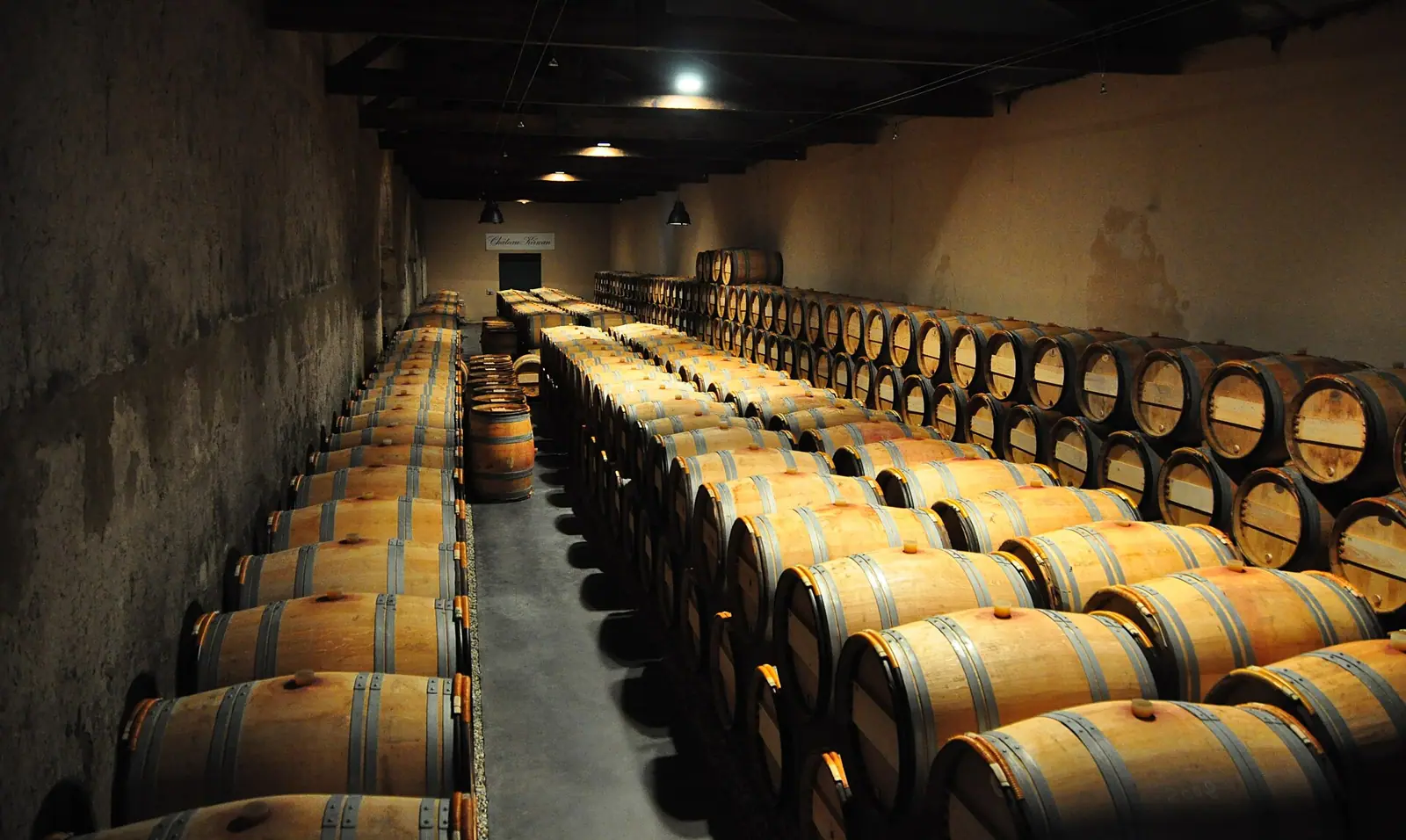 Illustrative photo of a Sonoma County vineyard, not of Capo Isetta Wines