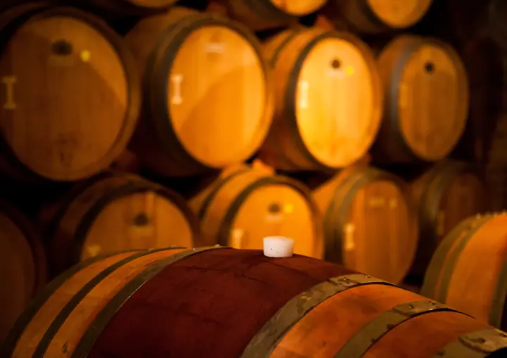 Illustrative photo of wine being tasted, not of Sonoma Springs Brewing Co