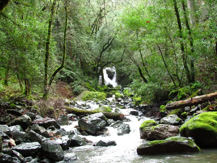 Illustrative photo of a hiking trail, not of Maxwell Farms Regional Park