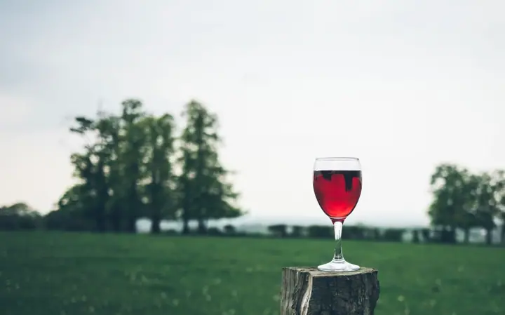 Illustrative photo of wine being tasted, not of VJB Cellars