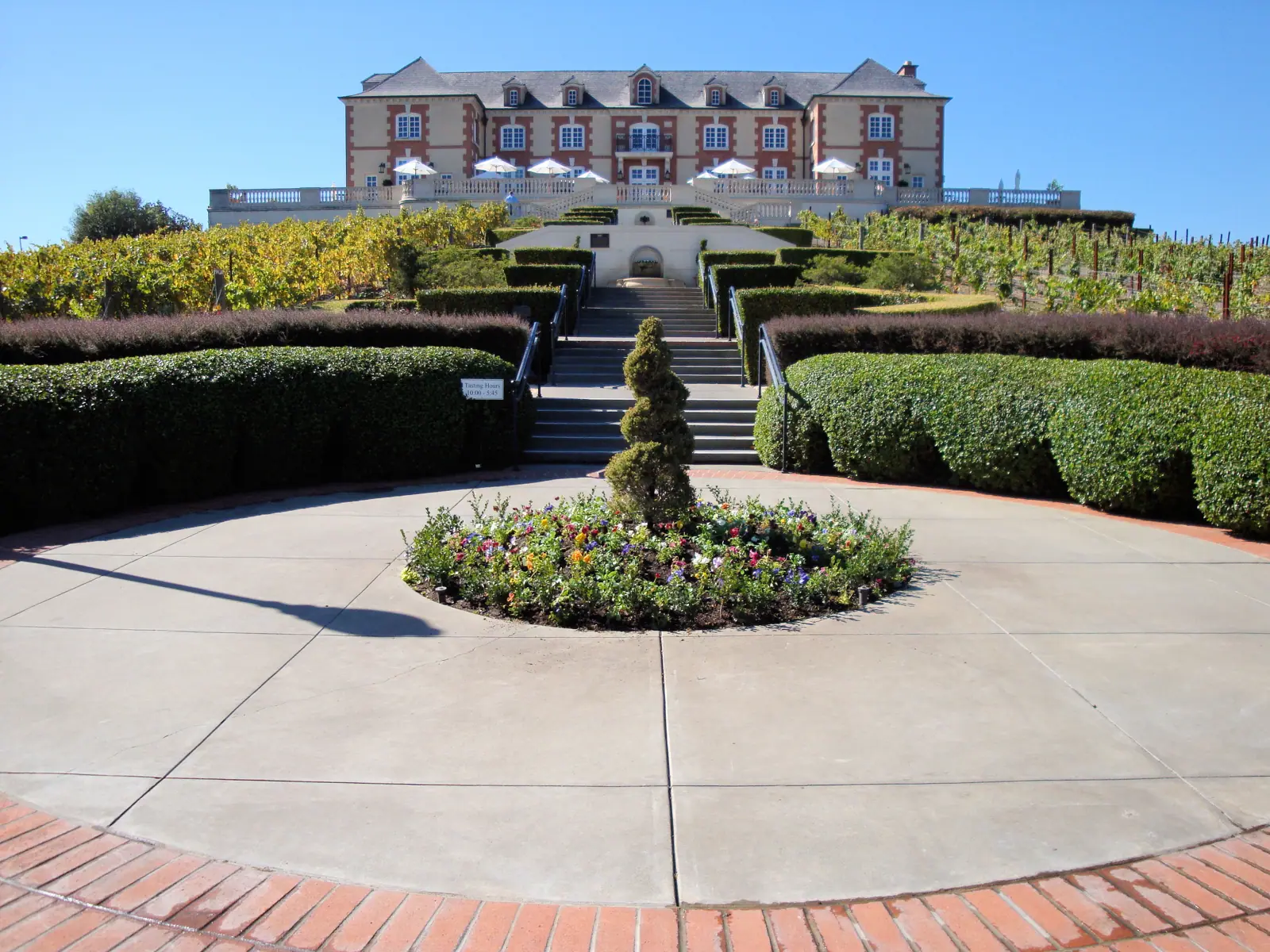 Illustrative photo of a Sonoma County vineyard, not of Scribe Winery