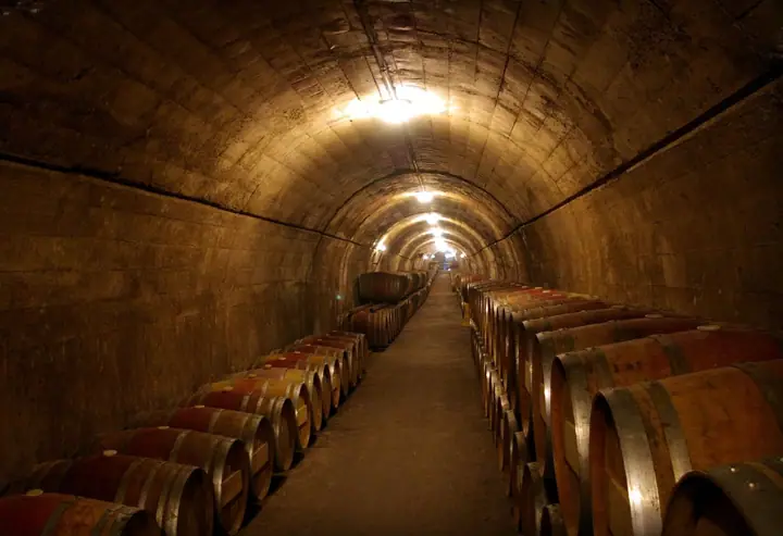 Illustrative photo of a Sonoma County vineyard, not of Corner 103