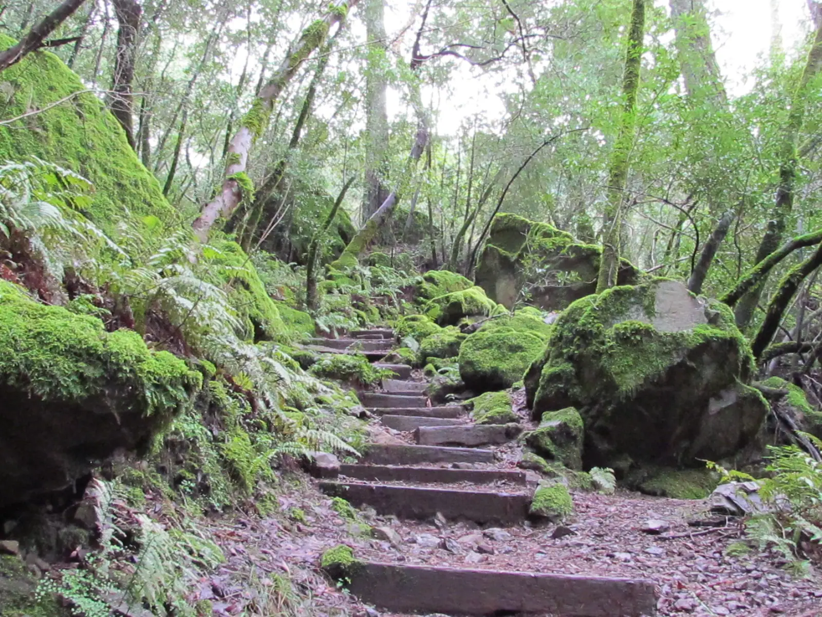 Illustrative photo of a hiking trail, not of Montini Open Space Preserve