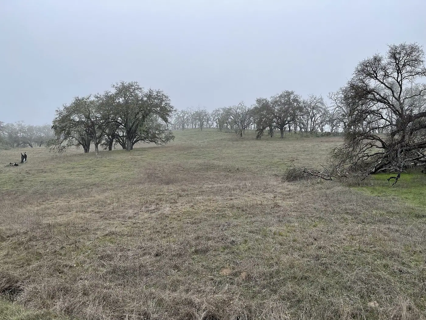 Sonoma Valley Regional Park, Glen Ellen