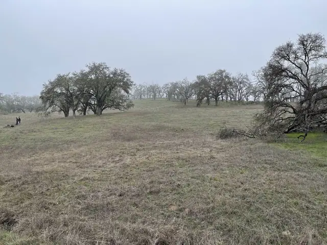 Sonoma Valley Regional Park, Glen Ellen