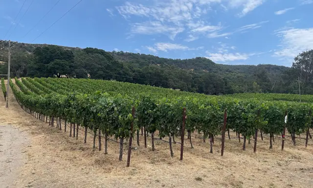 Gundlach Bundschu Winery, Sonoma