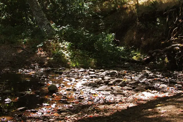 Sugarloaf Ridge State Park, Kenwood