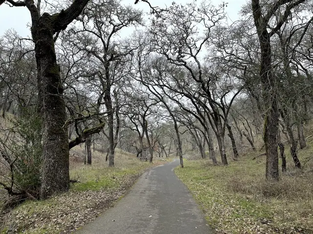 Sonoma Valley Regional Park, Glen Ellen