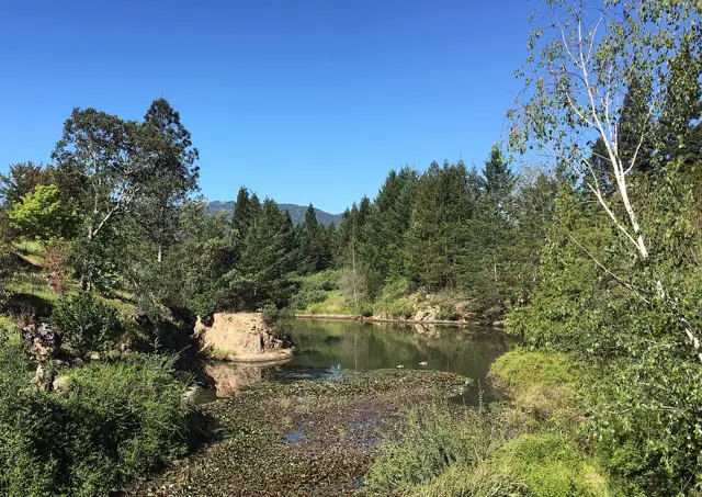 Sonoma Botanical Garden, Glen Ellen