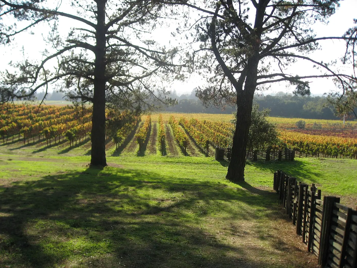 Gundlach Bundschu Winery, Sonoma