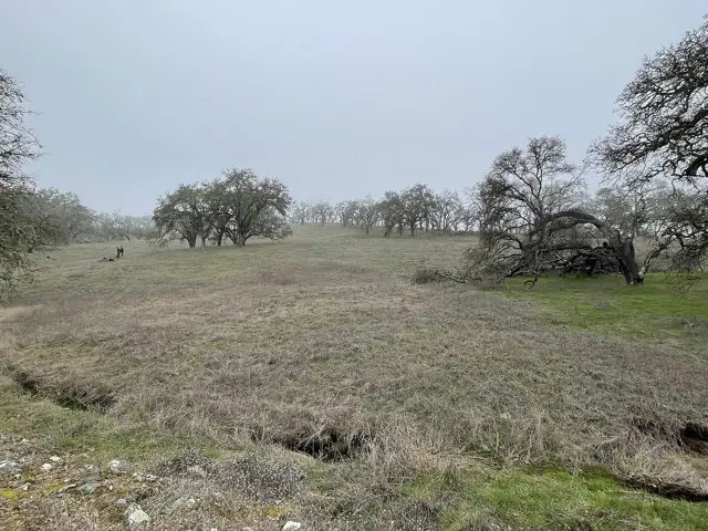 Sonoma Valley Regional Park, Glen Ellen