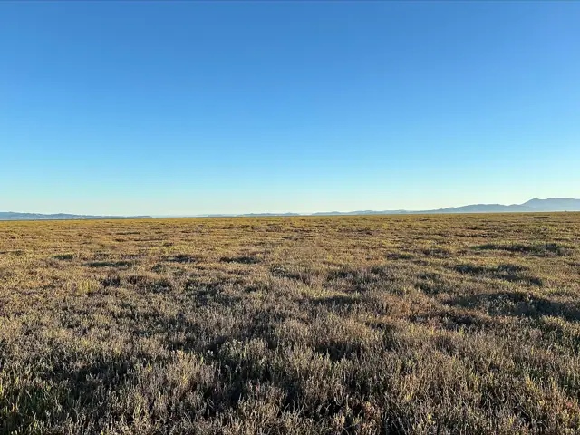 San Pablo Bay National Wildlife Refuge, Schellville