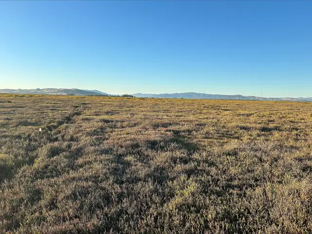 San Pablo Bay National Wildlife Refuge, Schellville
